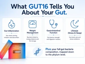 what gut16 tells you about your gut