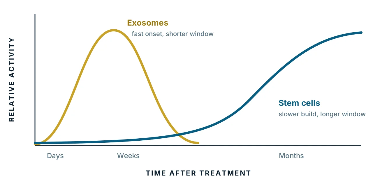 Exosomes vs stem cells activity timeline, comparing how long each stays active after treatment