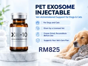 XOVIVE pet exosome 10 billion vial for dogs and cats, vet administered IVDD dog supportive care